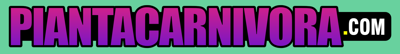 Piantacarnivora